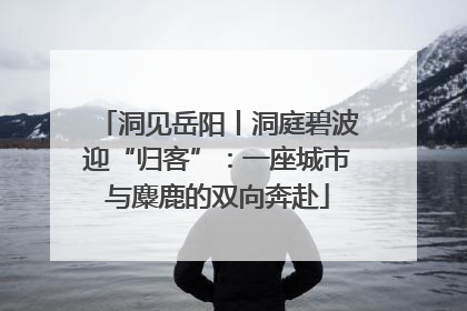 洞见岳阳丨洞庭碧波迎“归客”：一座城市与麋鹿的双向奔赴